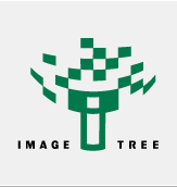 ImageTree Logo